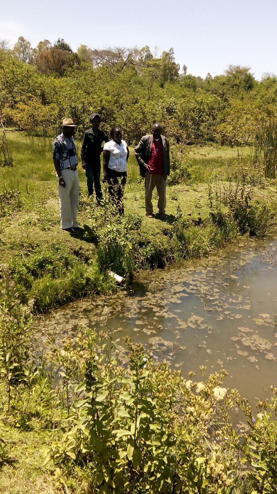Community visit near a wetland and planted landscape