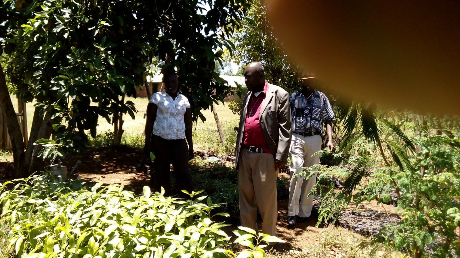 Community leaders visiting a plant nursery