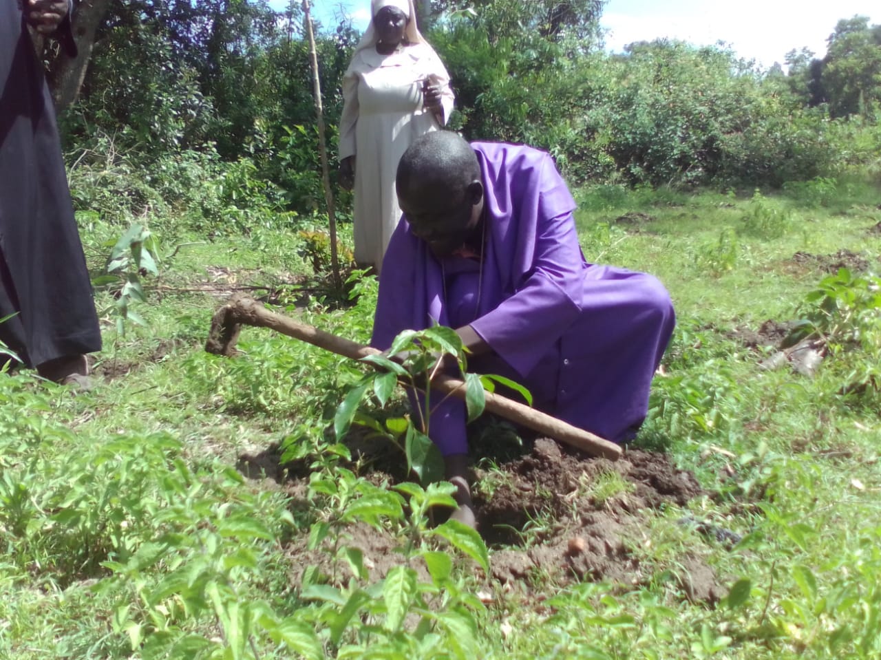 A tree being planted during a community environmental activity